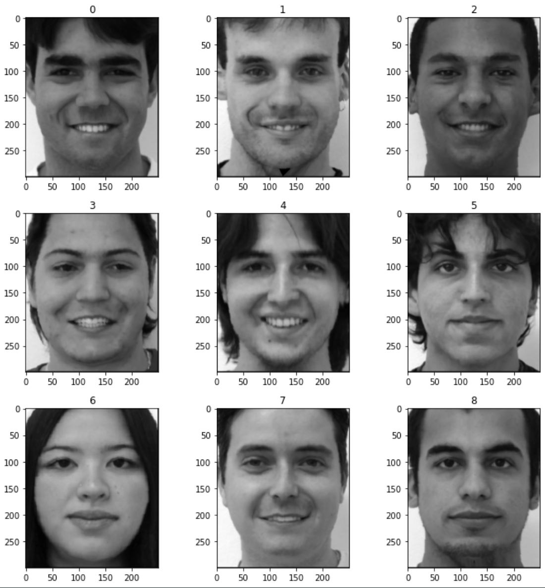 Faces Warped to Average Shape