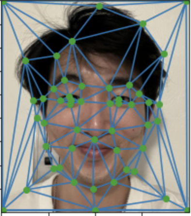 My Face with Triangulation